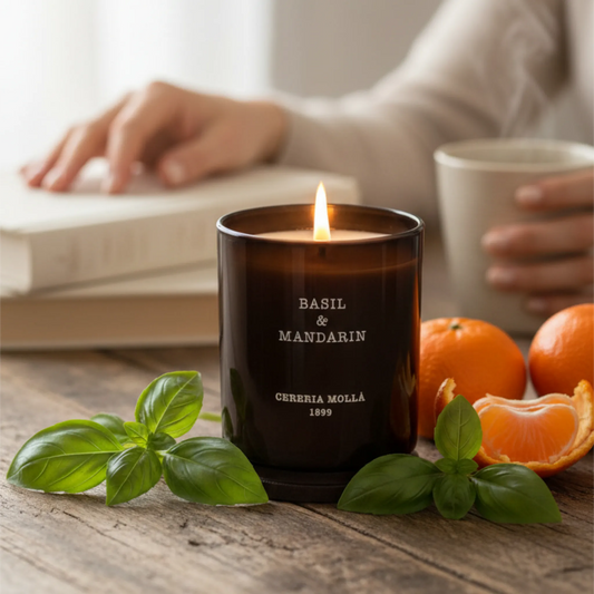 Cereria Mollá Premium Duftkerze - Basil & Mandarin