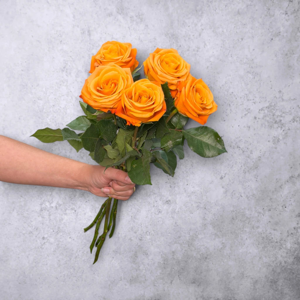 Fairtrade Rosenstrauss Orange