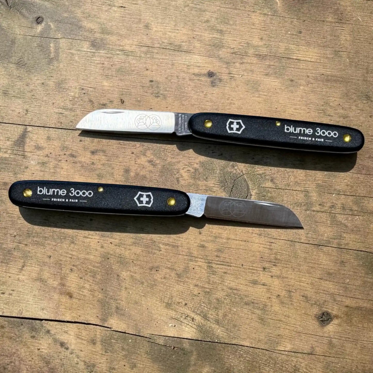 Blumenmesser - Victorinox