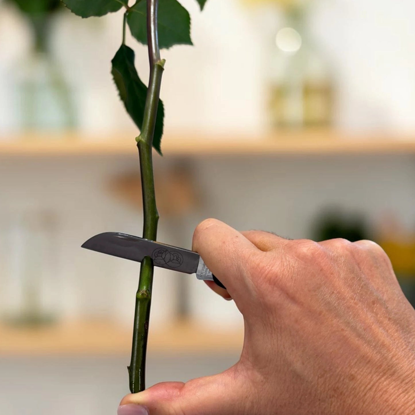 Blumenmesser - Victorinox