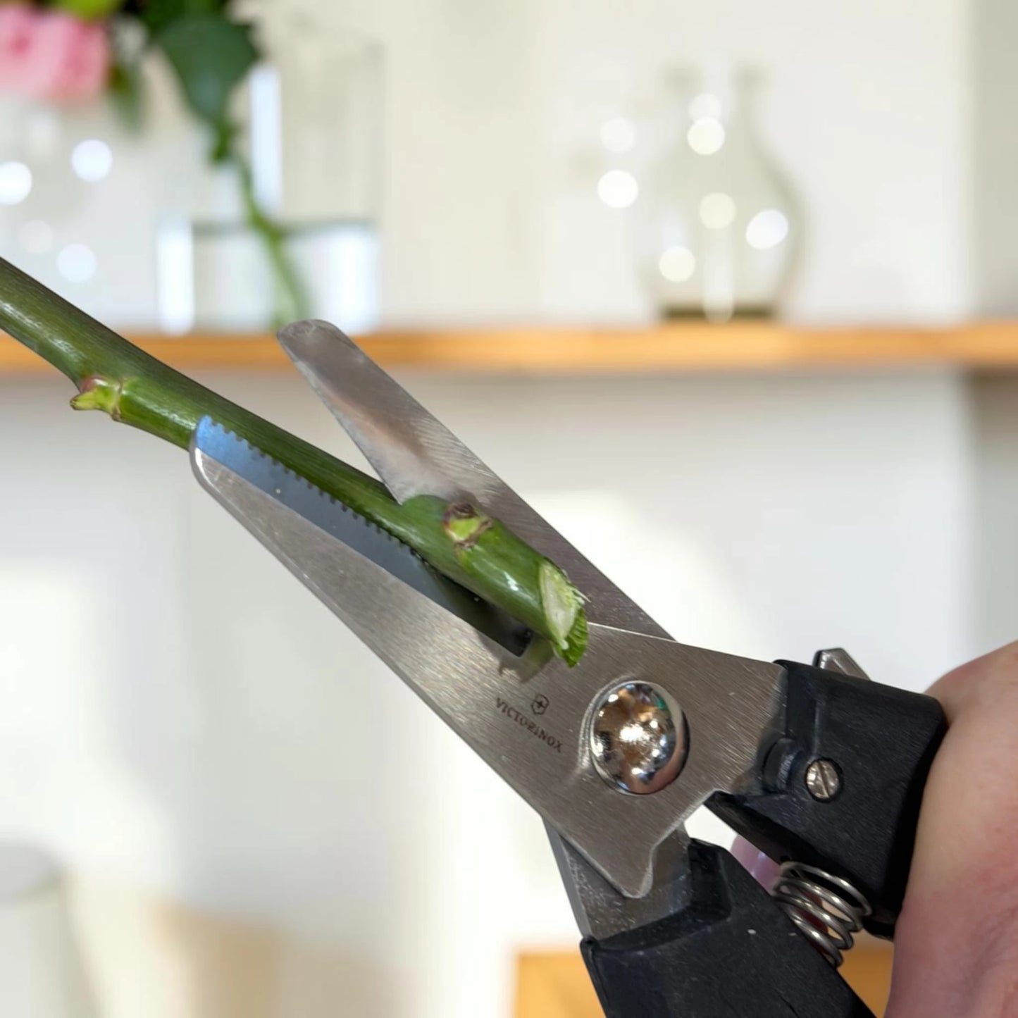 Vielzweckschere Victorinox