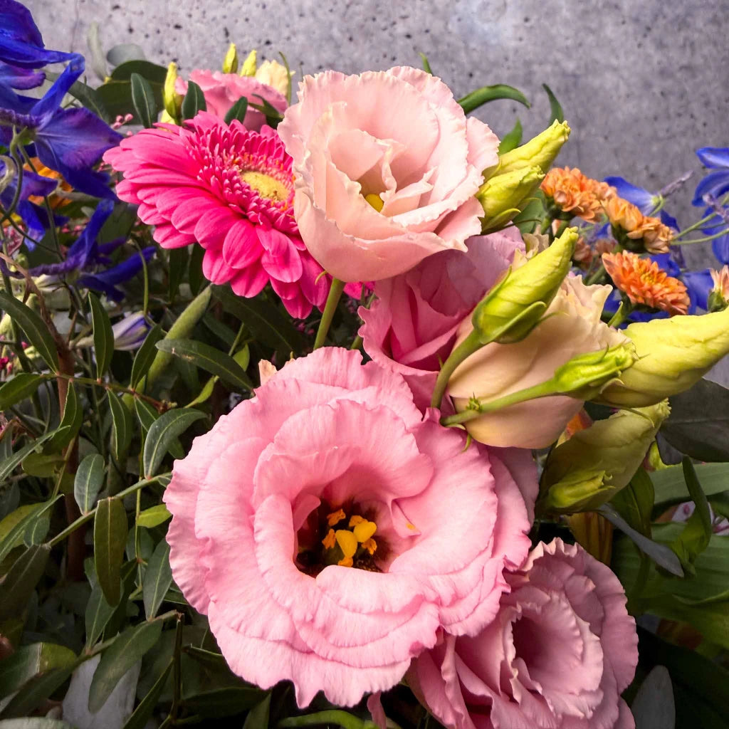 Der Farbenfrohe