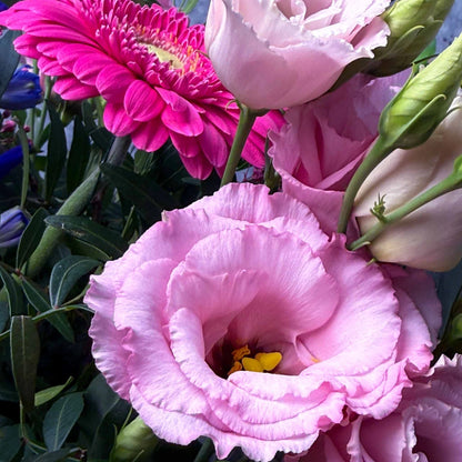 Der Farbenfrohe