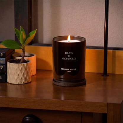 Cereria Mollá Premium Duftkerze - Basil & Mandarin