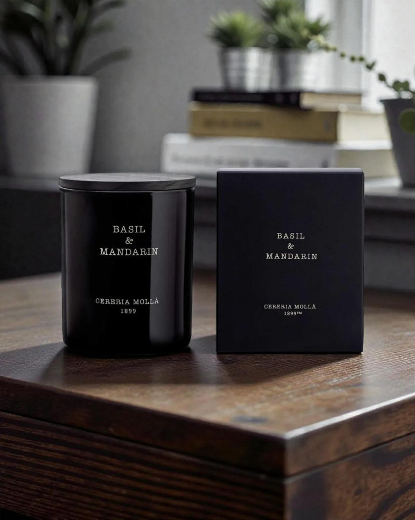 Cereria Mollá Premium Duftkerze - Basil & Mandarin