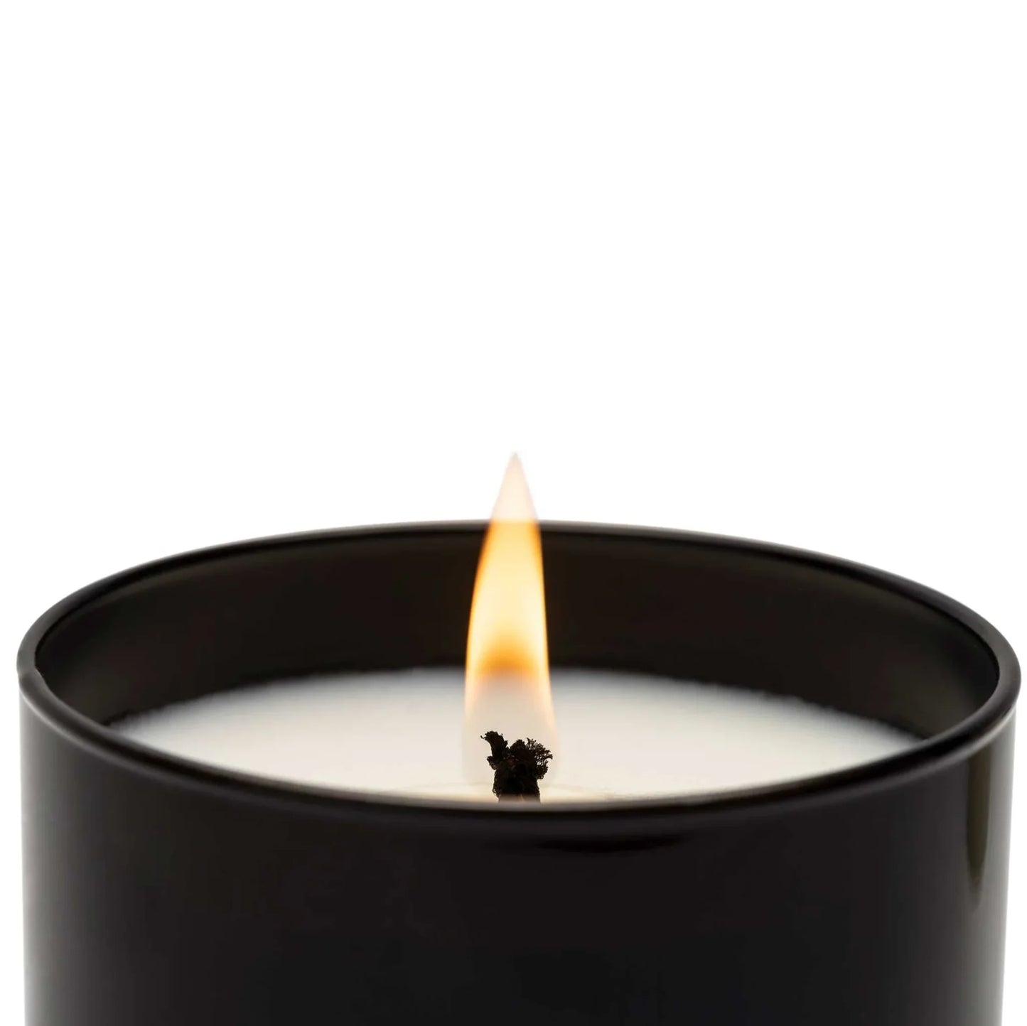 Cereria Mollá Premium Duftkerze - Amber & Sandalwood